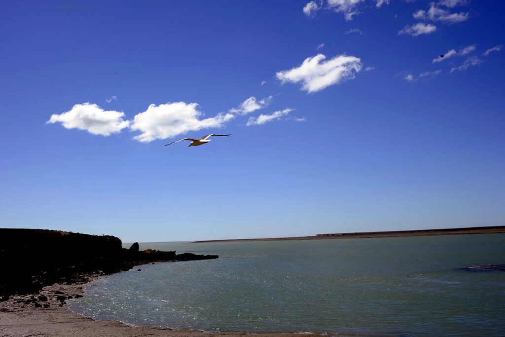 "Orgullosamante cerca", el lema que une al reclamo histórico de Malvinas con el turismo