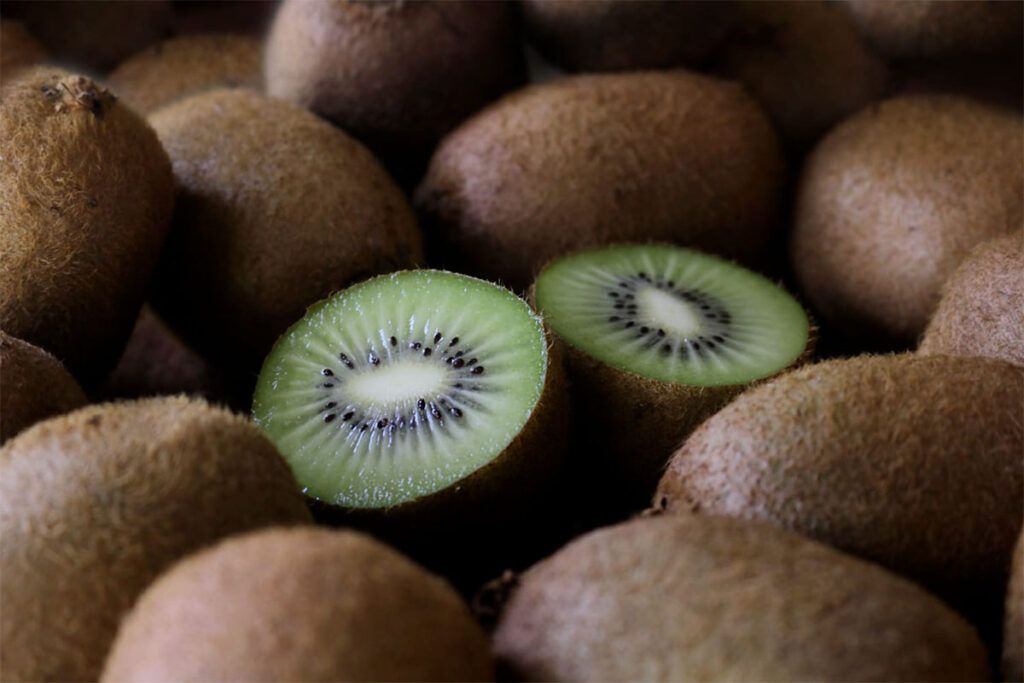El Camino de la Vitamina C, una ruta para enamorarse del kiwi