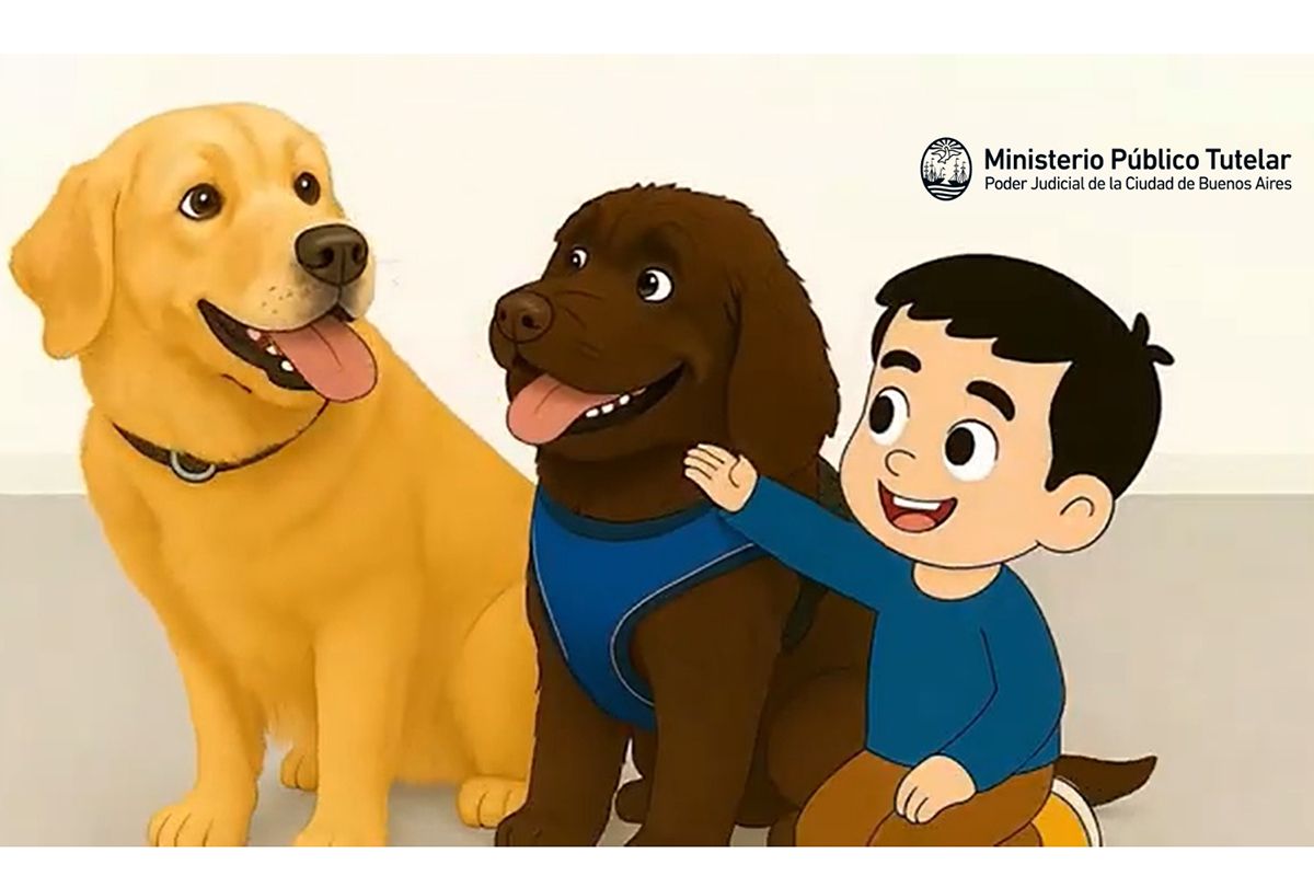 El Ministerio Público Tutelar diseñó material para ayudar a niños, niñas y adolescentes que deben declarar en Cámara Gesell 4 El Ministerio Público Tutelar diseñó material para ayudar a niños, niñas y adolescentes que deben declarar en Cámara Gesell