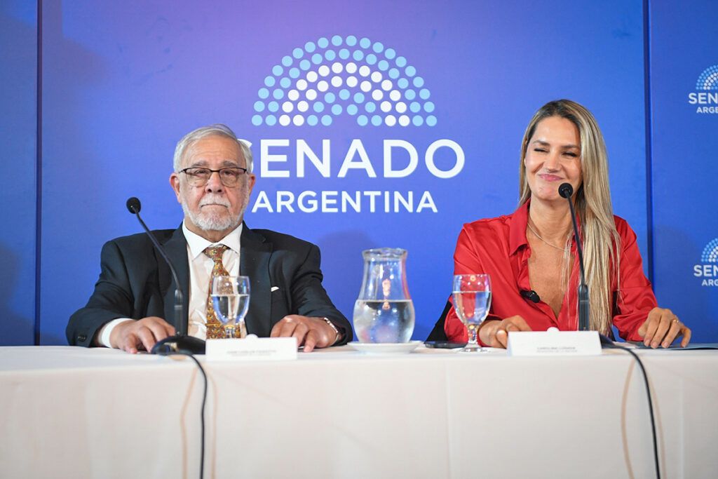 Denunciaron penalmente a la senadora Carolina Losada por el proyecto de “falsas denuncias”