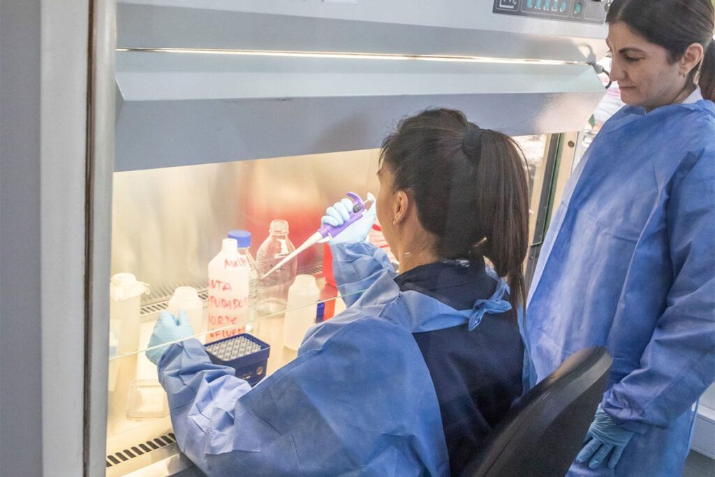 Más de 42 mil vinchucas a la deriva: una postal del desguace en Salud en la era Milei