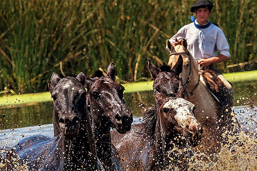 Del alfajor a los carruajes y los amores perros, las escapadas del fin de semana