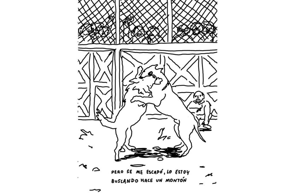 Una saga familiar contada a través de los perros donde la tragedia es una suerte echada