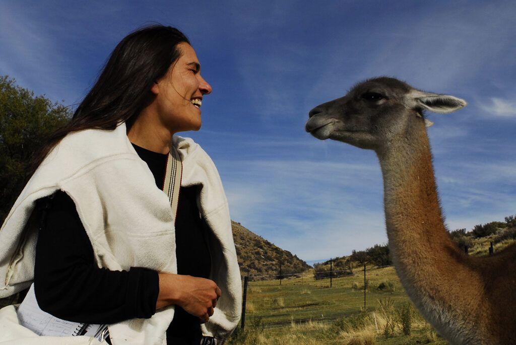 Guanaco, una oferta alimentaria que gana terreno por historia, variedad y precio