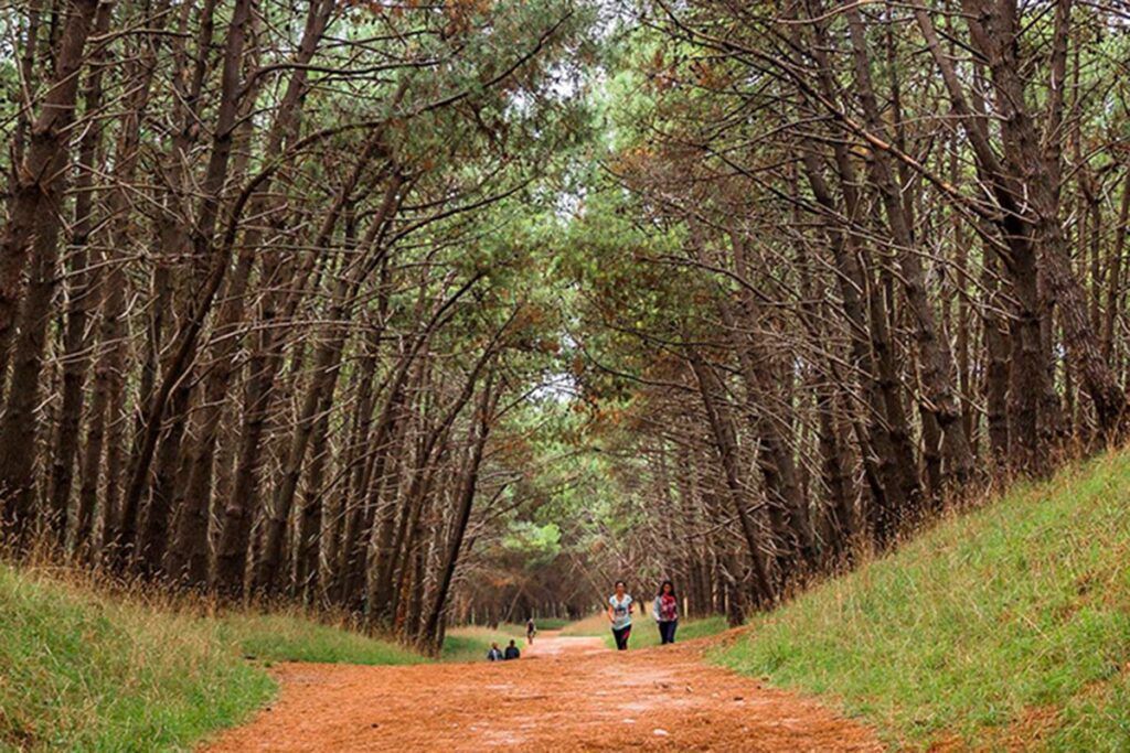 Semana Santa pasada por agua, junto al río, la laguna o el mar￼