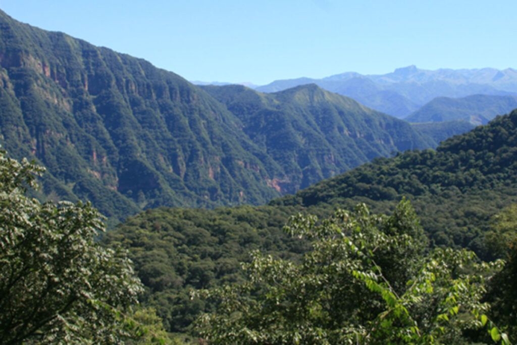 Cinco parques nacionales para visitar en otoño