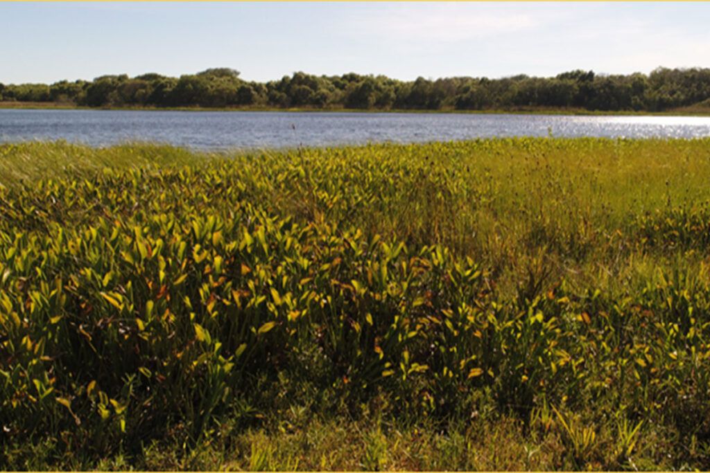 Cinco parques nacionales para visitar en otoño