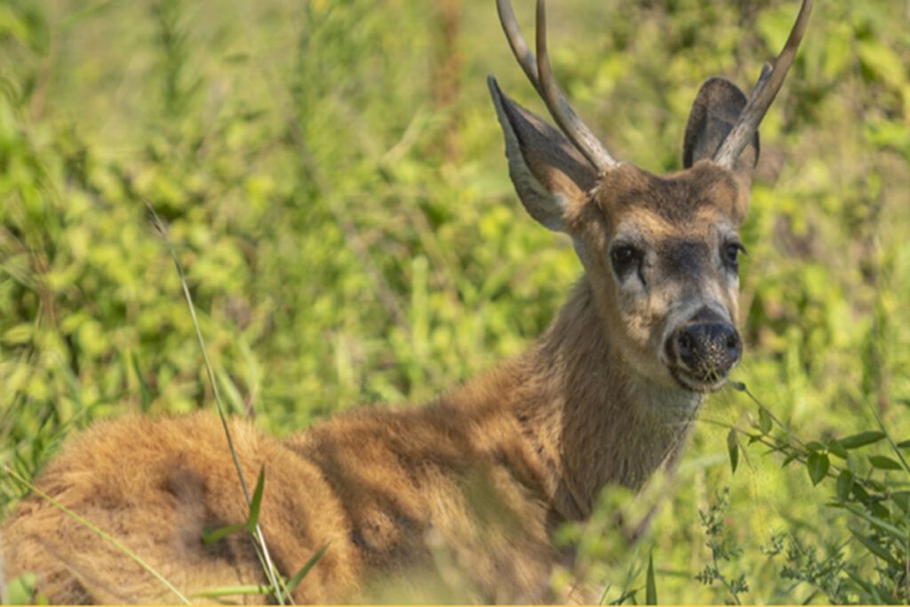 Cinco parques nacionales para visitar en otoño