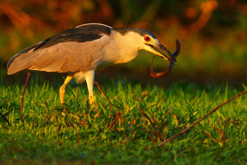 Cinco parques nacionales para visitar en otoño