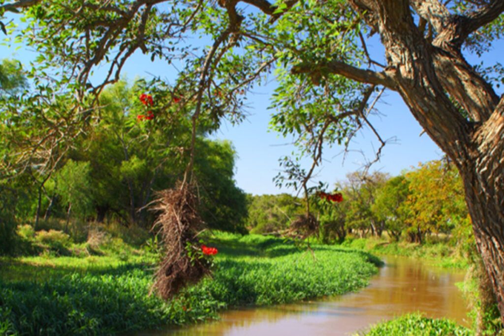 Cinco parques nacionales para visitar en otoño