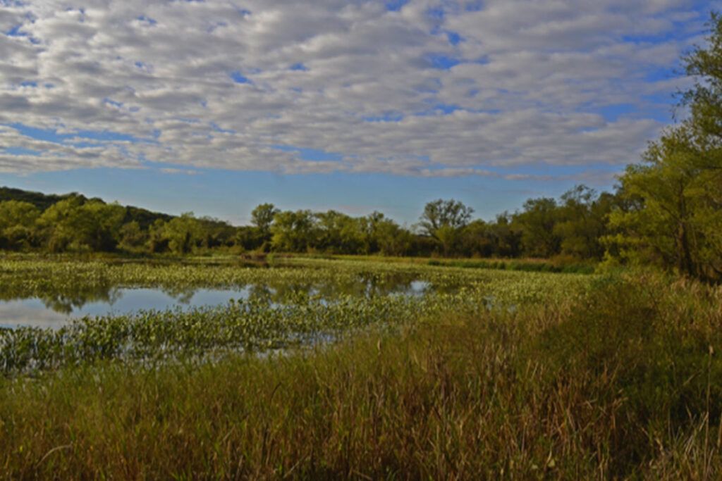 Cinco parques nacionales para visitar en otoño
