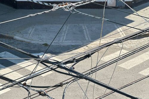 Como rata por tirante en su maraña