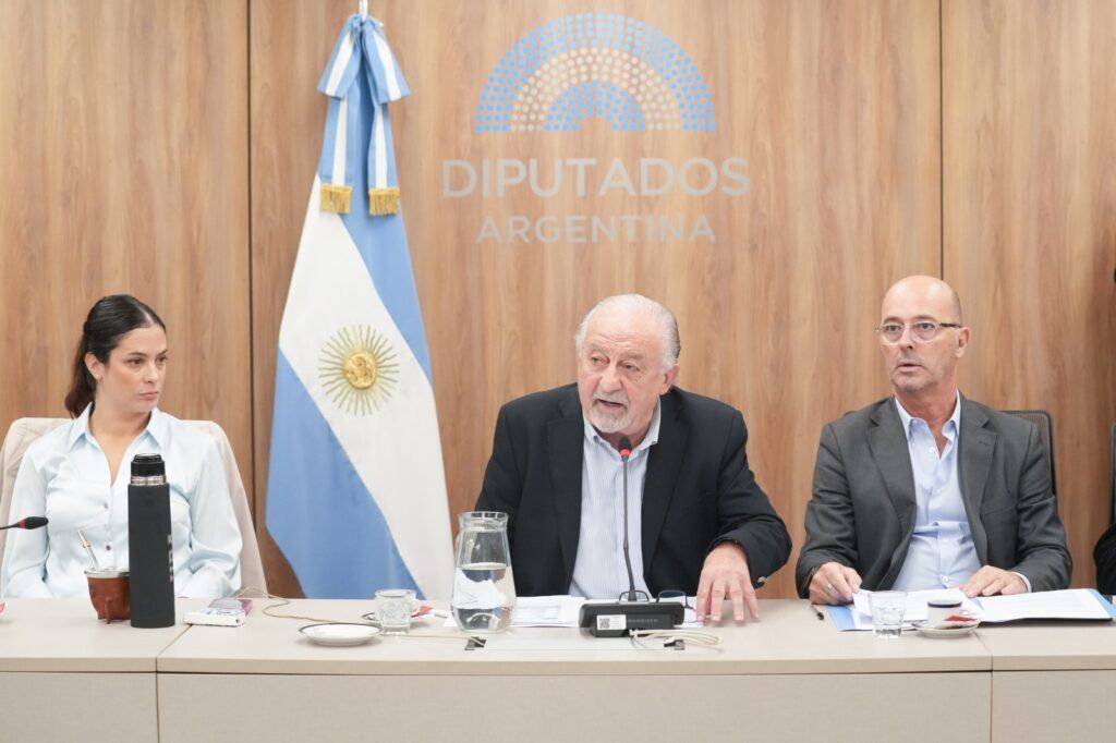 La oposición en Diputados comenzó a debatir proyectos por la morosidad familiar: 4,8 millones se endeudan para sobrevivir