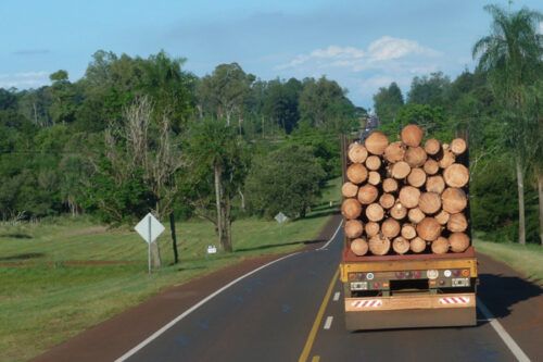 “La austeridad sin crecimiento no paga deudas”