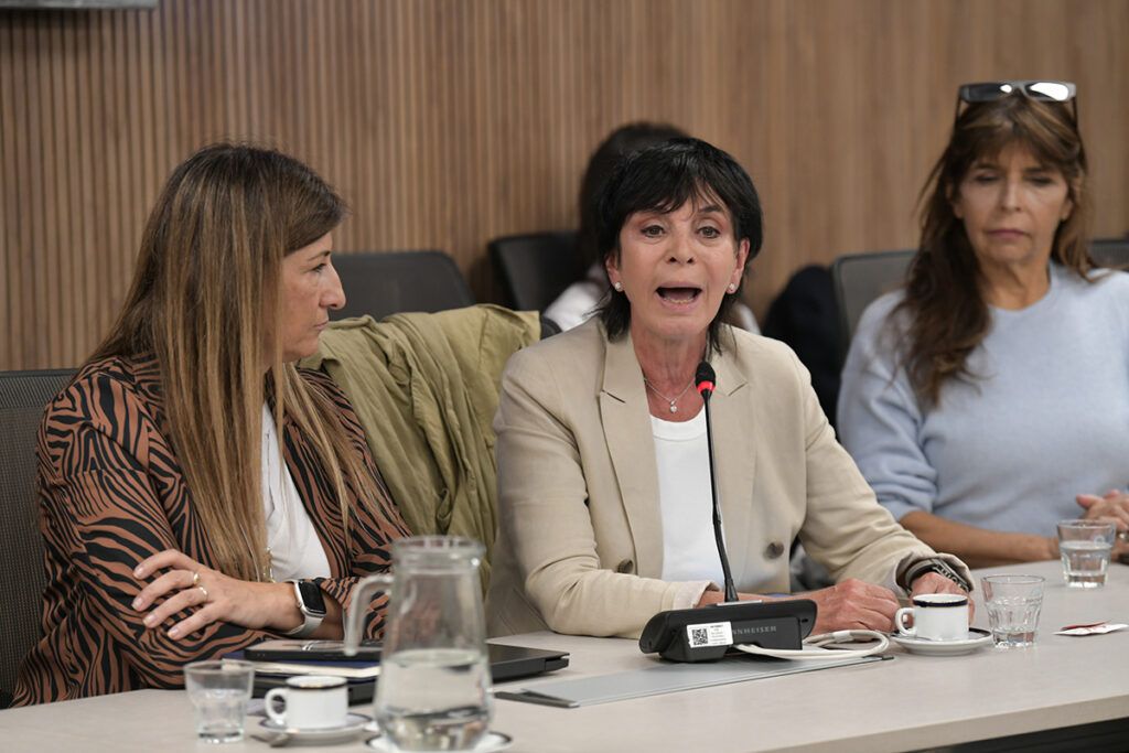 Periodistas y medios denunciaron en el Congreso una “escalada de agresiones” por parte del gobierno de Milei