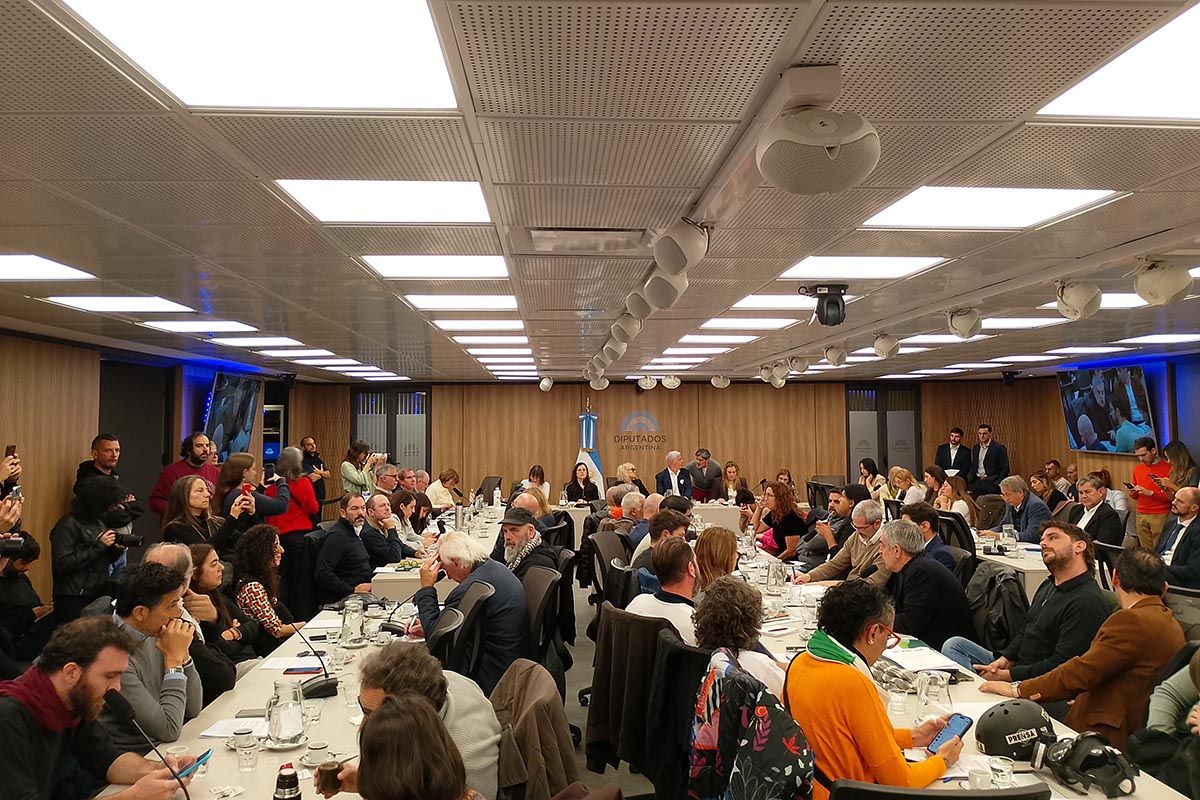 Comisión de DDHH: "Manifestarse contra las políticas de ajuste del gobierno de Milei es un derecho constitucional"