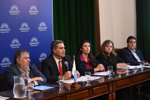 Alerta tarifas: en el Congreso proponen un diferencial en boletas de luz para provincias del norte