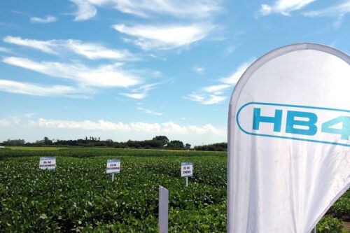 30 años de transgénicos: un modelo que sólo alimentó la concentración económica