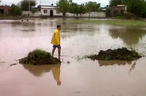Foto: Noticias Argentinas