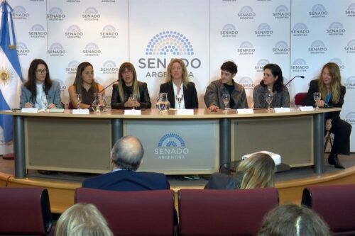 Falsas denuncias: “la sociedad tiene que preguntarse qué hay detrás de este proyecto”