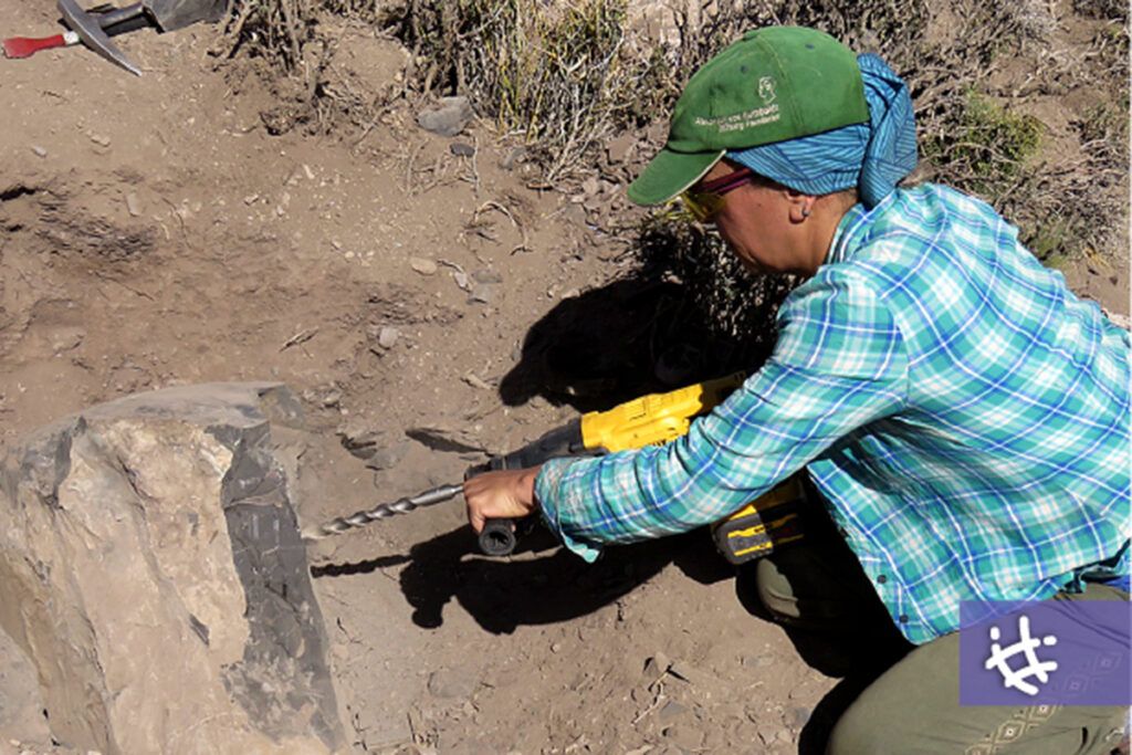 Lo que Vaca Muerta guarda desde hace 150 millones de años: la ciencia que el mercado no cuenta 2 Lo que Vaca Muerta guarda desde hace 150 millones de años: la ciencia que el mercado no cuenta
