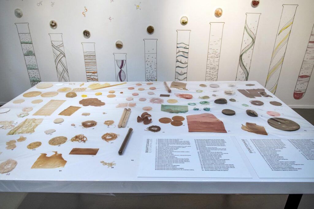 “Bioartesanías: el futuro ya llegó”: una muestra de arte con materiales sustentables 3 “Bioartesanías: el futuro ya llegó”: una muestra de arte con materiales sustentables