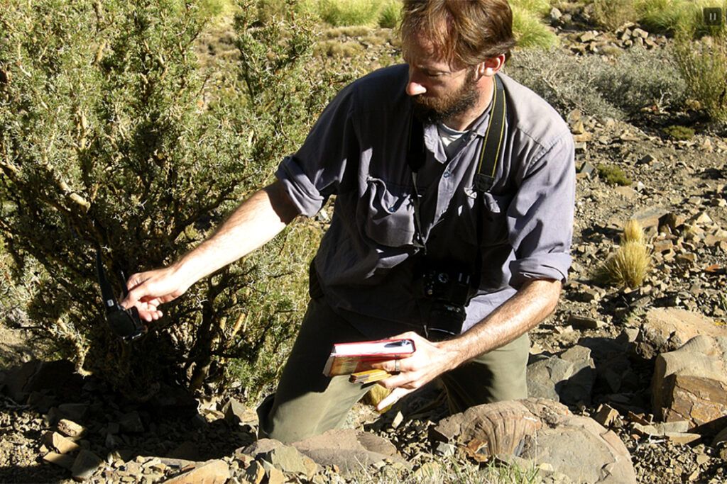 Lo que Vaca Muerta guarda desde hace 150 millones de años: la ciencia que el mercado no cuenta 5 Lo que Vaca Muerta guarda desde hace 150 millones de años: la ciencia que el mercado no cuenta