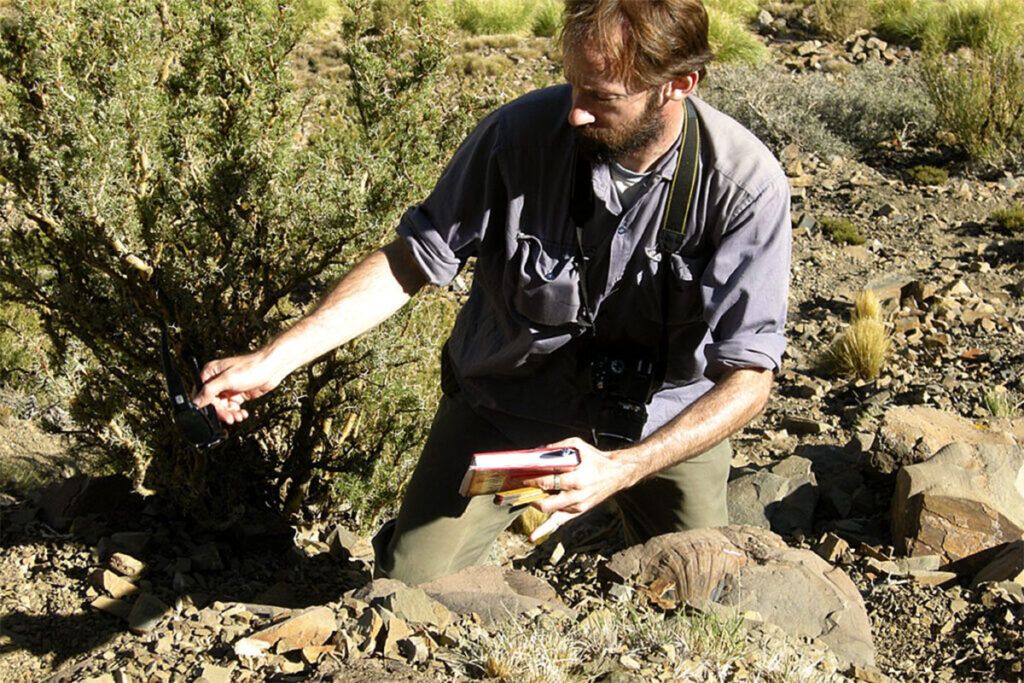 Lo que Vaca Muerta guarda desde hace 150 millones de años: mares, rocas y cocodrilos únicos