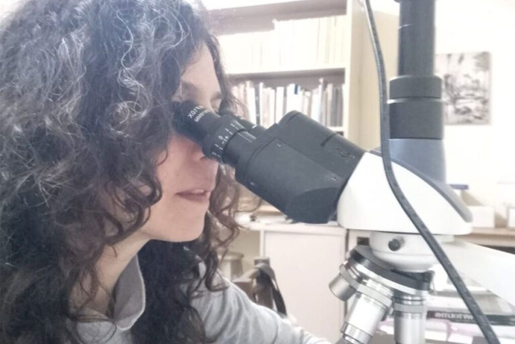 Lo que Vaca Muerta guarda desde hace 150 millones de años: mares, rocas y cocodrilos únicos