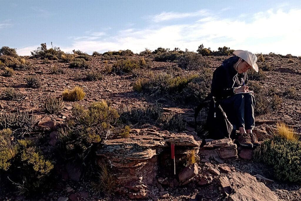 Lo que Vaca Muerta guarda desde hace 150 millones de años: mares, rocas y cocodrilos únicos
