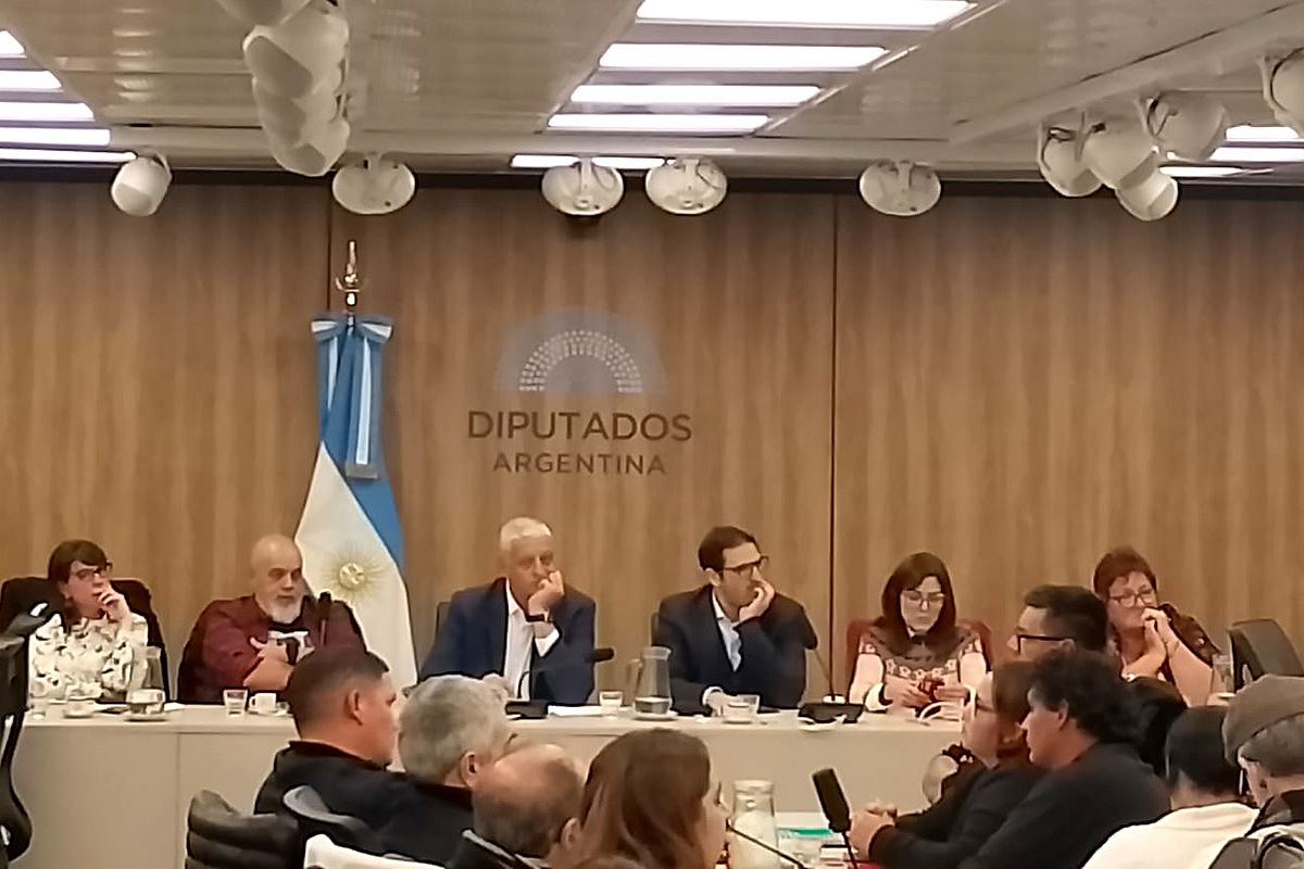Día Nacional de la Lucha contra la Violencia Institucional: presentarán un proyecto para el abordaje de la problemática