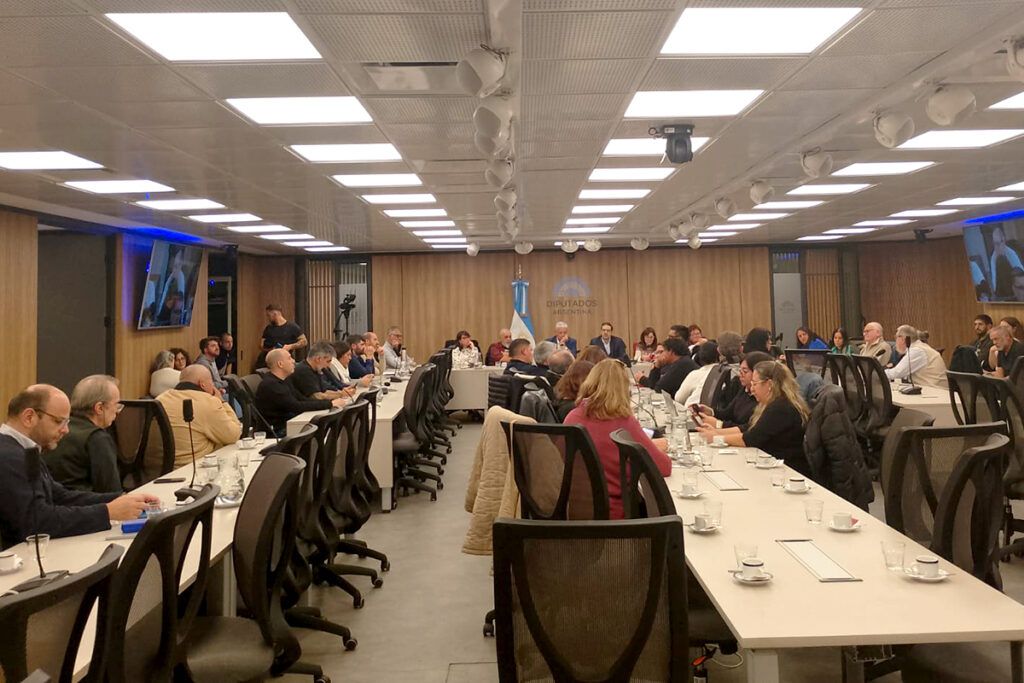 Día Nacional de la Lucha contra la Violencia Institucional: presentarán un proyecto para el abordaje de la problemática