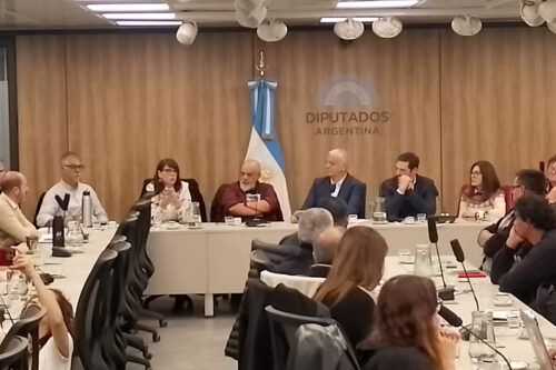 Día Nacional de la Lucha contra la Violencia Institucional: presentarán un proyecto para el abordaje de la problemática