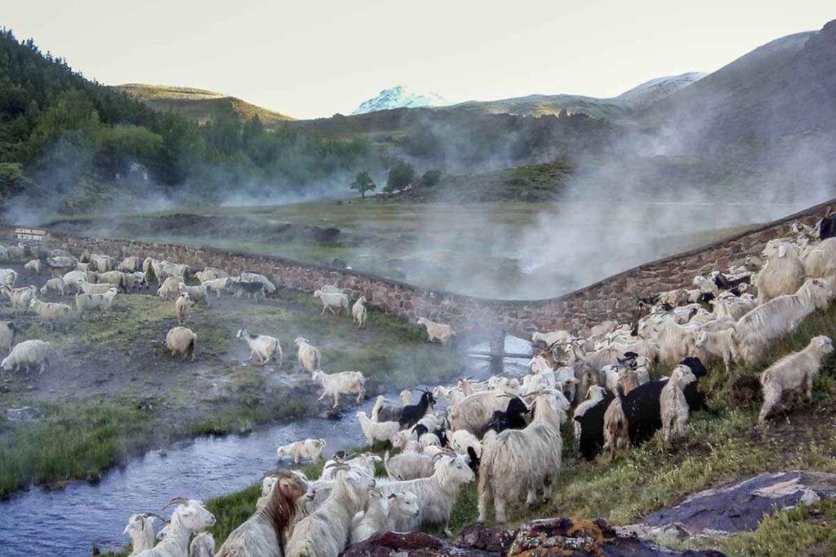 Witxal, el arte ancestral de la lana que abriga los inviernos en el sur neuquino