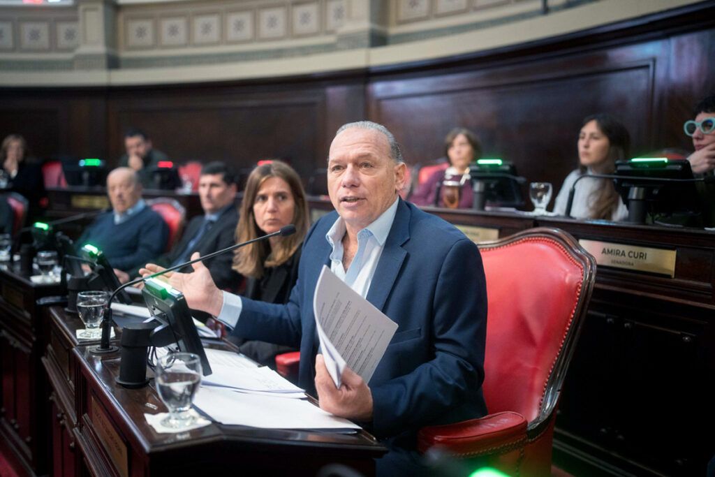 Cruces, reproches y micrófonos cortados: la interna peronista se coló también en la primera sesión del Senado bonaerense