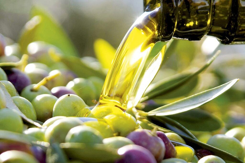 Otoño en clave de oliva para descubrir su historia, producción y tesoros