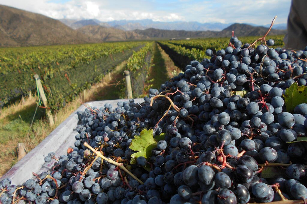 La Rioja lanzó una nueva edición del Previaje y los Chacho para invierno