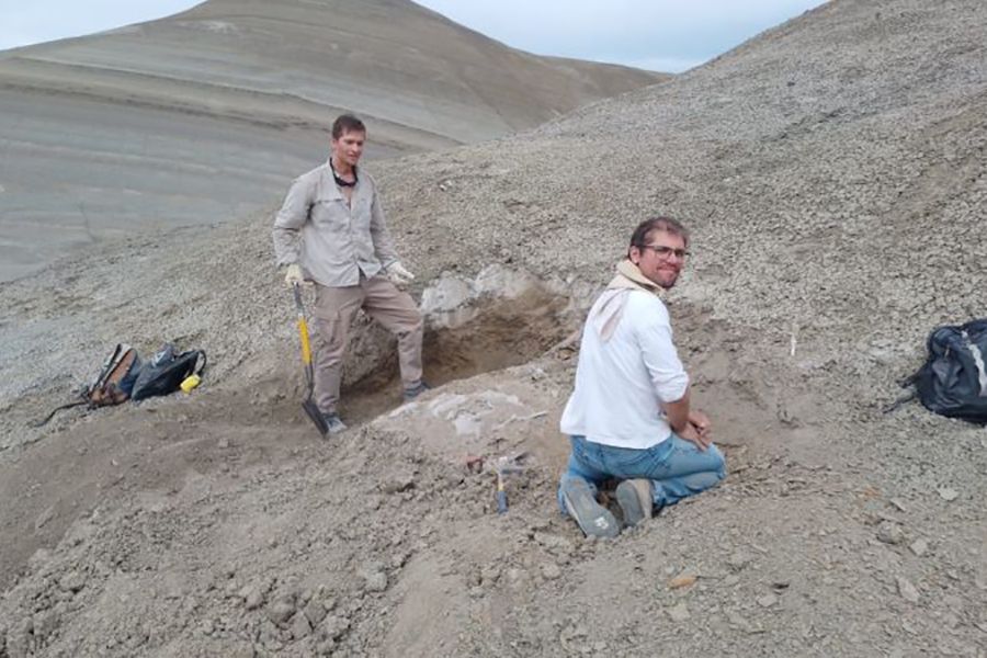 Un cráneo de 66 millones de años hallado en Chubut aporta nuevos datos sobre reptiles marinos que habitaron nuestro país  