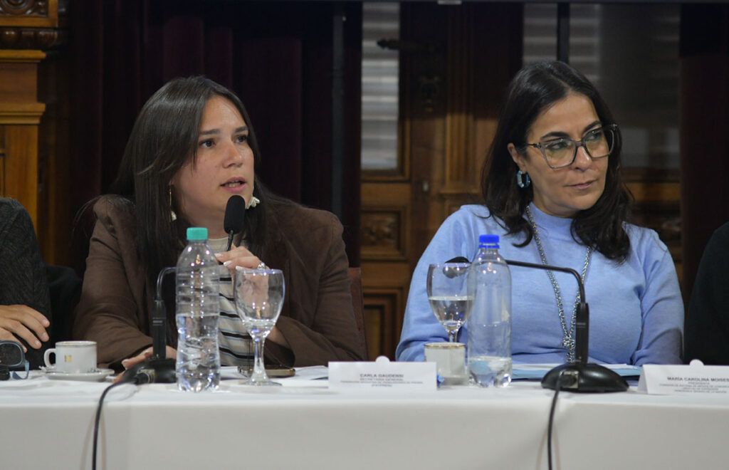Senado: se presentó el nuevo proyecto del Estatuto del Periodista con presencia federal y de distintos espacios políticos