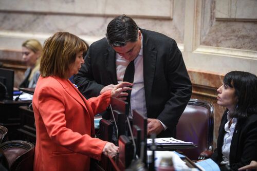El Senado comenzó la sesión con cruces por el “Ni una menos”