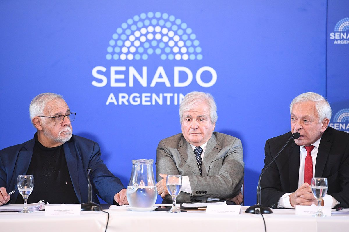 Senado: el juez que bajó la cautelar que frenaba la reforma laboral defendió su pliego para seguir en el cargo