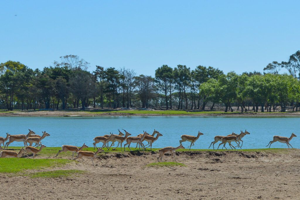 Playa, bosque, gastronomía y termas en el Partido de La Costa