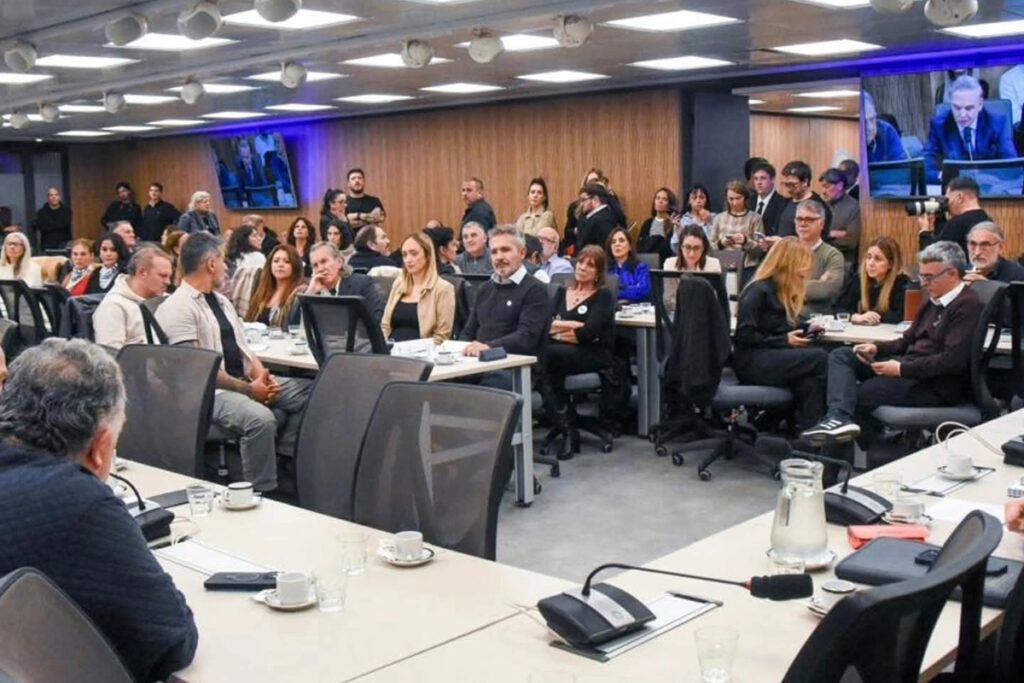 A un año de la condena a Cristina, diputados de la Comisión de DDHH y Garantías reclamaron su inmediata libertad 2 A un año de la condena a Cristina, diputados de la Comisión de DDHH y Garantías reclamaron su inmediata libertad