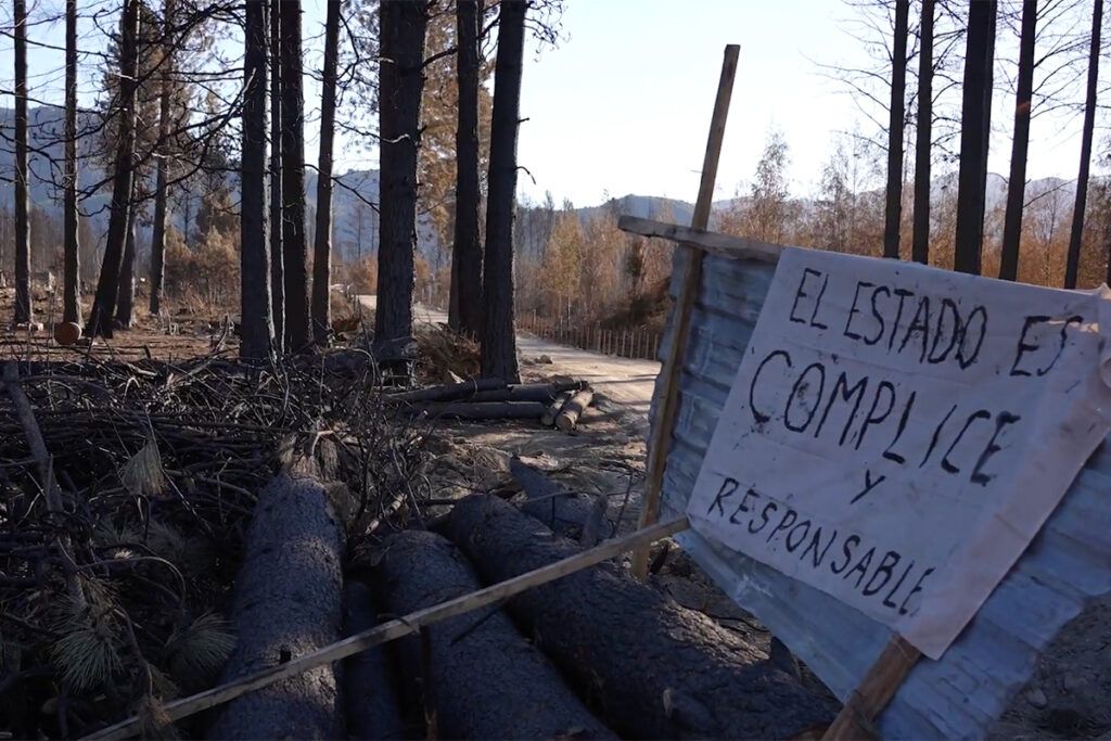 "Somos y seremos mar" reconstruye la caminata indígena que denunció el terricidio en la Argentina 2 "Somos y seremos mar" reconstruye la caminata indígena que denunció el terricidio en la Argentina