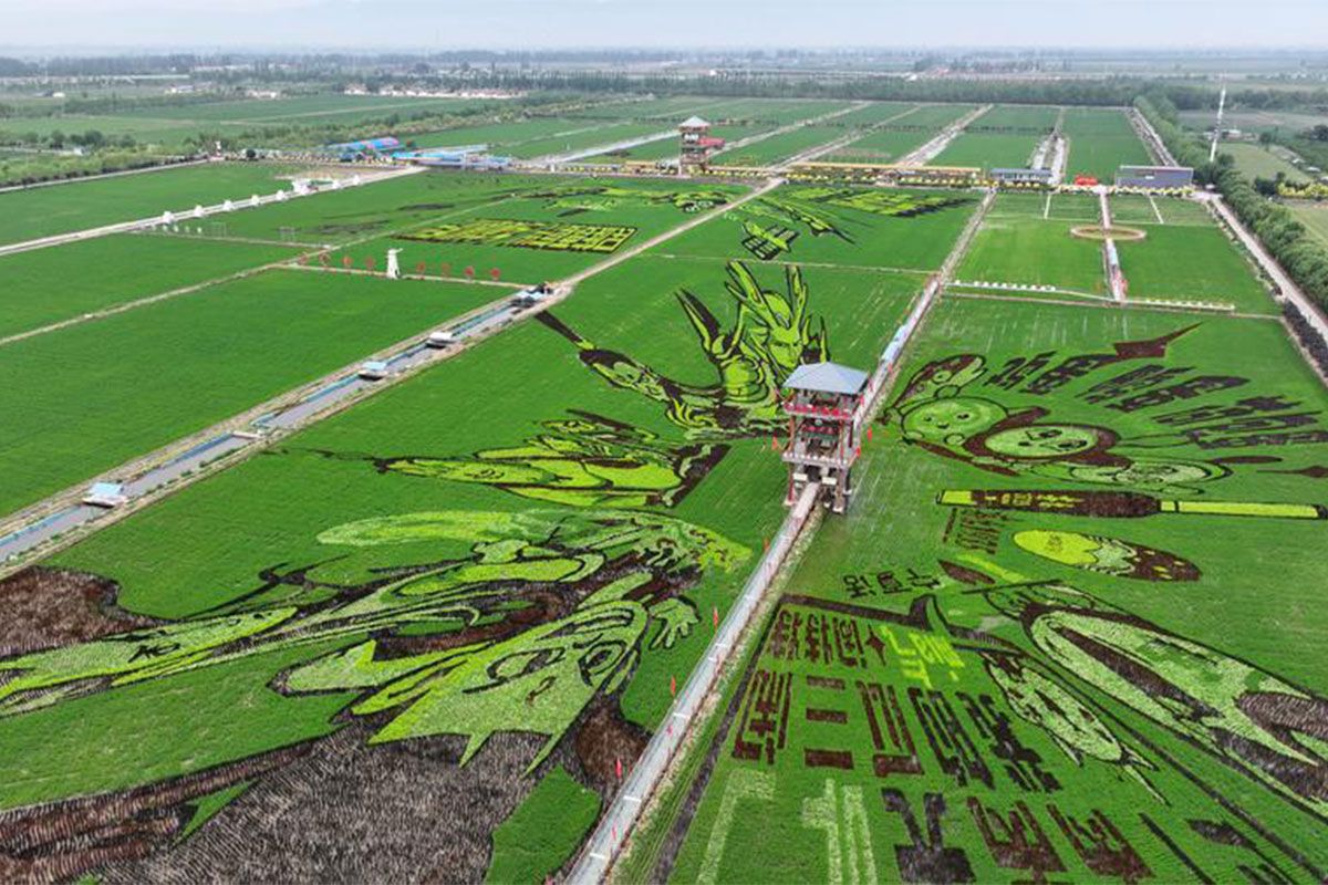 Cosecharás tu otra siembra: la China rural también cobra entradas