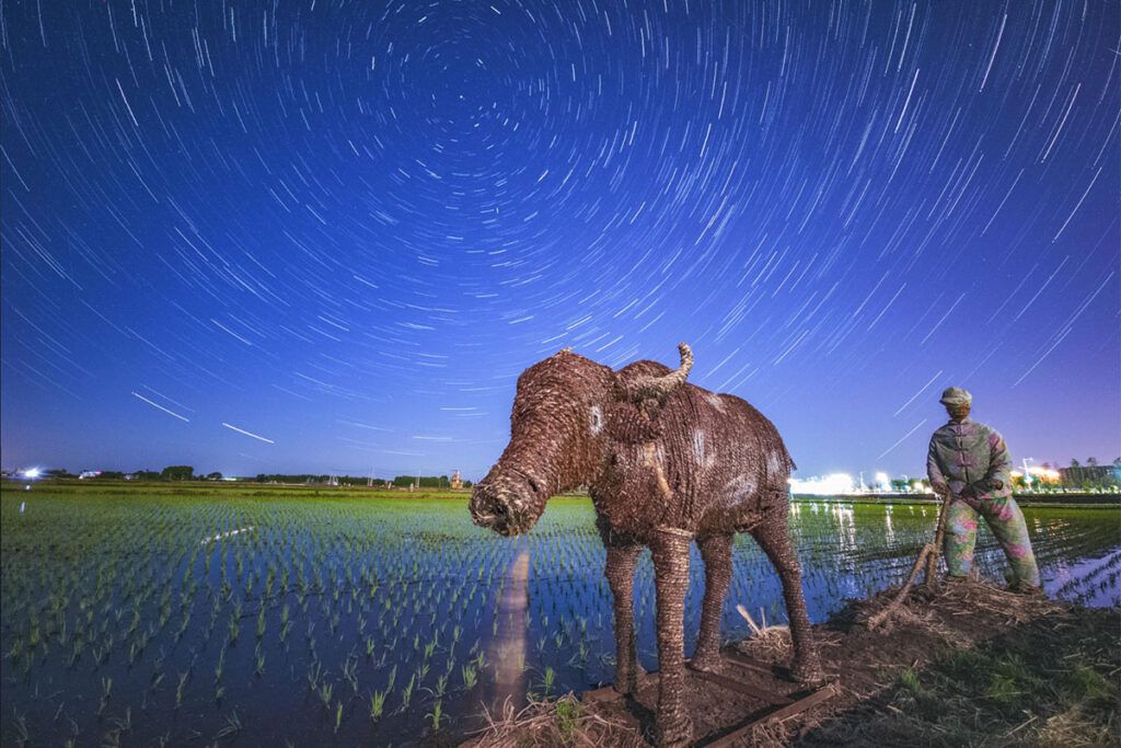 Cosecharás tu otra siembra: la China rural también cobra entradas 1 Cosecharás tu otra siembra: la China rural también cobra entradas