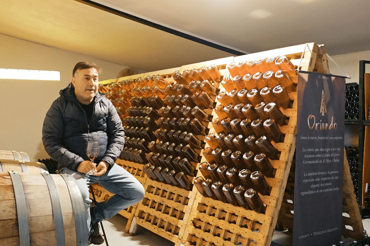 De la Patagonia al mundo, llega el primer espumante de pétalos de tulipán