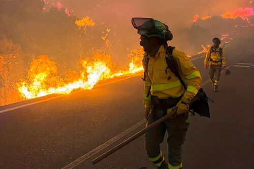Incendios forestales en el verano europeo más caluroso de la historia