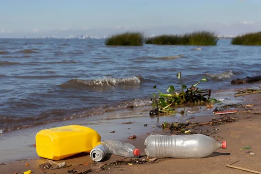 Investigadoras de la UBA crearon un material biodegradable que remplaza al plástico