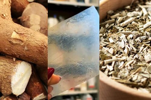 Investigadoras de la UBA crearon un material biodegradable que remplaza al plástico